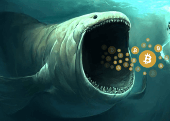 Οι φάλαινες αγόρασαν Bitcoin ύψους 3 δισ. δολαρίων στην πτώση, σύμφωνα με την Chainalysis.