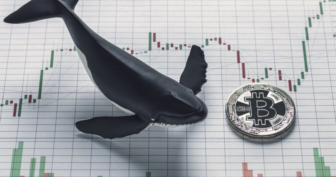 Οι φάλαινες μετακινούν 705.000.000$ σε Bitcoin και Ethereum καθώς η αγορά ανεβαίνει