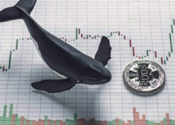 Οι φάλαινες μετακινούν 705.000.000$ σε Bitcoin και Ethereum καθώς η αγορά ανεβαίνει.