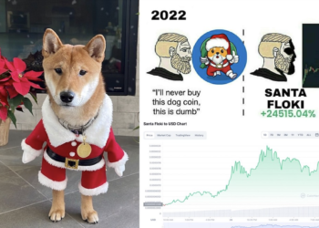 Χριστουγεννιάτικο tweet του Elon Musk εκτοξεύει token κατά 3.500%
