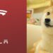 Το Dogecoin κερδίζει 25%. Ο Elon Musk επιβεβαίωσε ότι η Tesla θα το δεχτεί για πληρωμές.