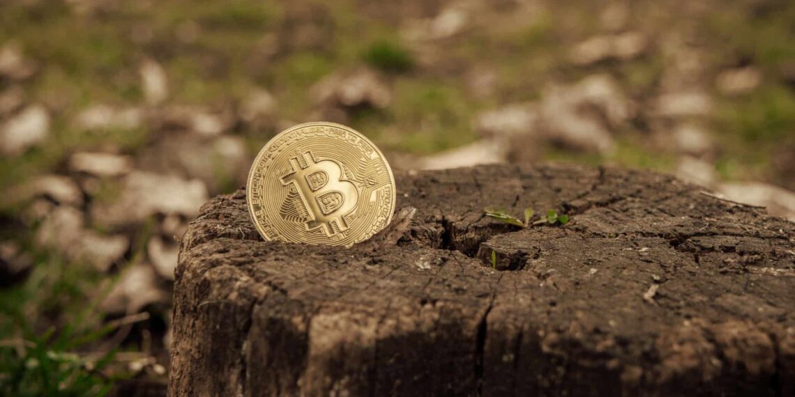 Η Wikimedia σταματάει τις δωρεές crypto λόγω περιβαλλοντικών ανησυχιών;