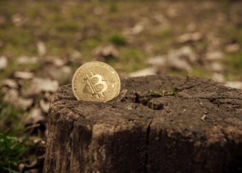 Η Wikimedia σταματάει τις δωρεές crypto λόγω περιβαλλοντικών ανησυχιών;