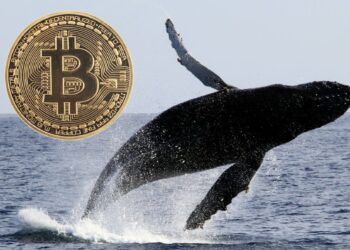 Φάλαινες πίσω από την έκρηξη του Bitcoin, σύμφωνα με τον αναλυτή Nicholas Merten