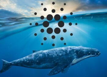 Οι φάλαινες του Cardano σε νέο υψηλό ρεκόρ￼