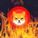Το SHIBA INU καίει σχεδόν 164 δισ tokens SHIB