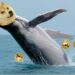 Φάλαινες Dogecoin μεταφέρουν ξαφνικά πάνω από 182.000.000 $ σε DOGE καθώς το κορυφαίο Memecoin εκρήγνυται