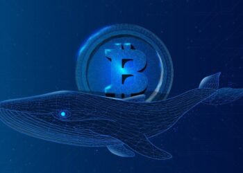 Μεγαλο-κάτοχοι Bitcoin συσσωρεύουν 1,5 δισ $ σε BTC τις δύο εβδομάδες της πτώσης