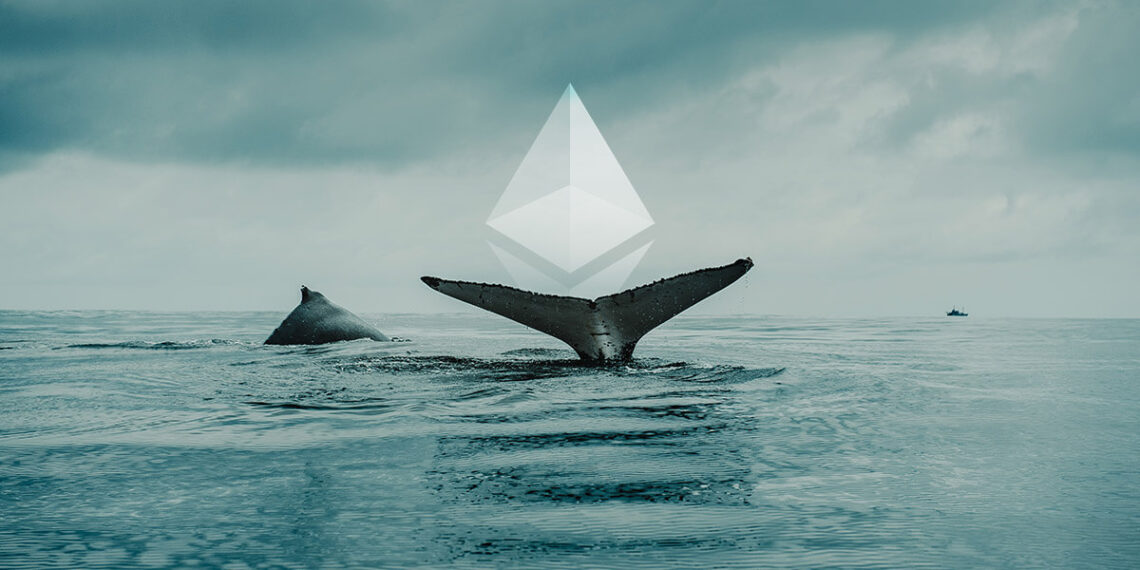 Ethereum «mega-φάλαινες» συνεχίζουν να αγοράζουν κατά τη διάρκεια της βουτιάς του Σαββατοκύριακου.